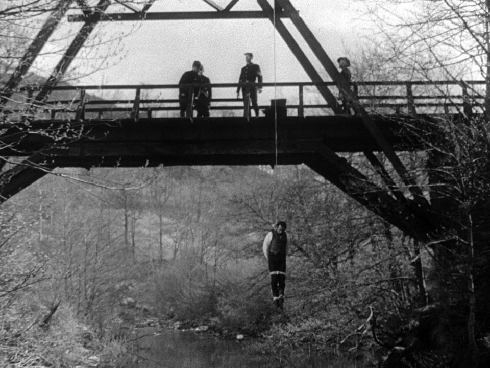 Случай на мосту через совиный ручей амброз бирс книга. Случай на мосту через совиный ручей книга. Полярная сова птенцы. Через совиный ручей. Ушастая сова гнездо.